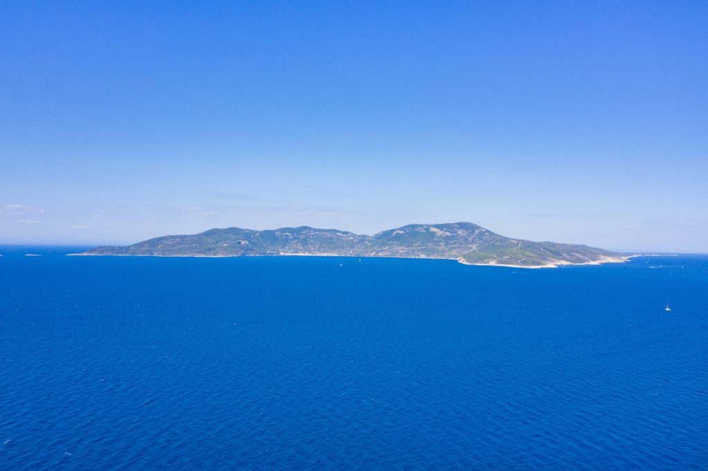 Vis