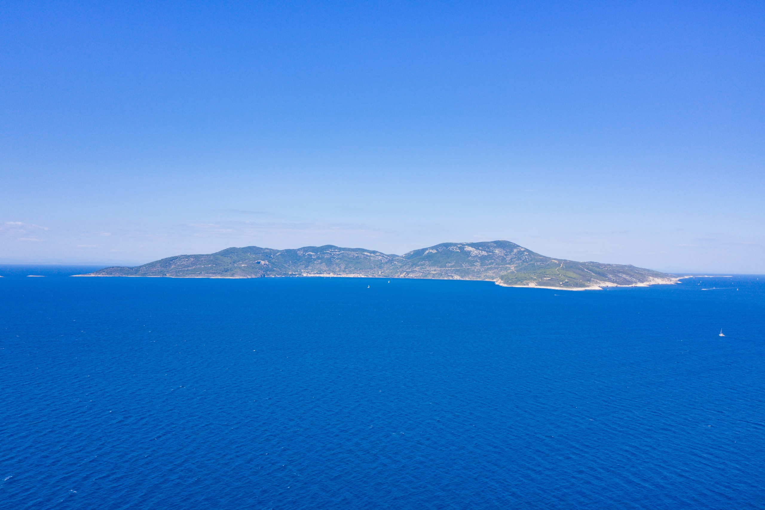Vis